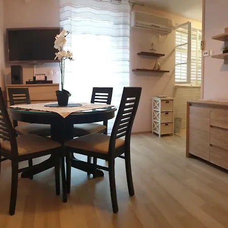 Apartment Ledinic