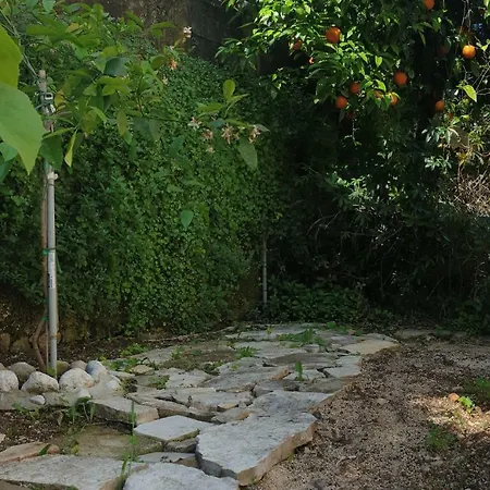 Ledinic Διαμέρισμα *